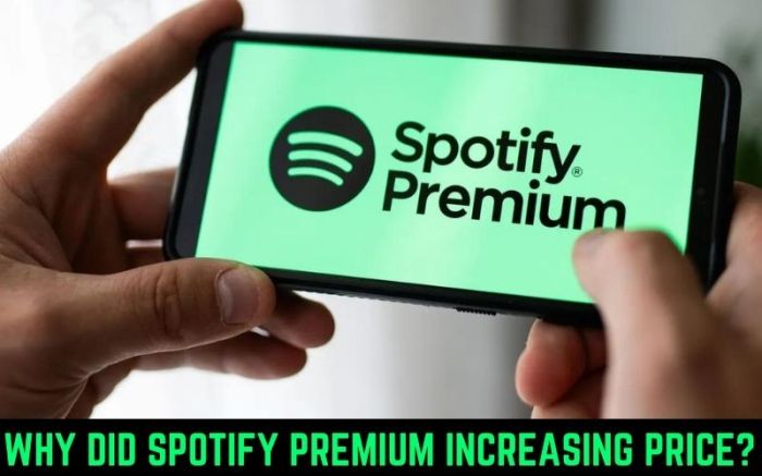 Spotify to increase subscription price in france to counter new music streaming tax