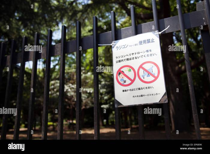 Tokyo bans uavs from being used in their public parks