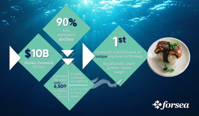 Ingrediome israeli startup lab protein taste food tech