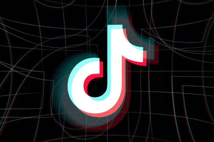 As a u s ban looms tiktok announces a 1m program for socially driven creators