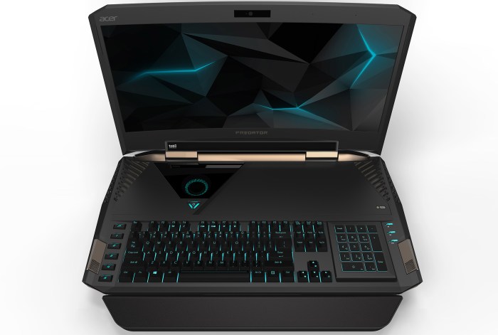 Acer predator 21 x laptop