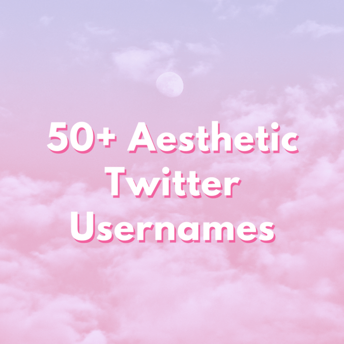 Twitter display names up to 50 characters