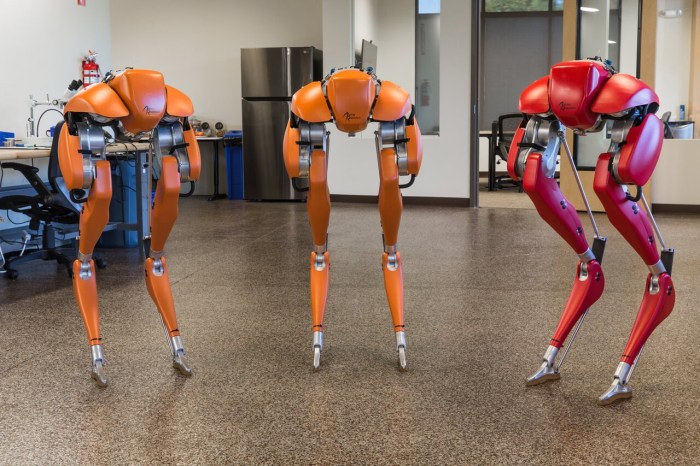 Agility robotics lays off some staff amid commercialization focus