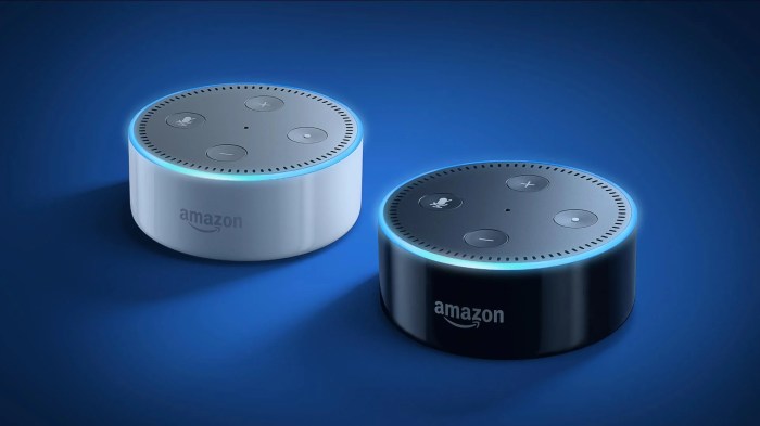 Amazon echo with display next month