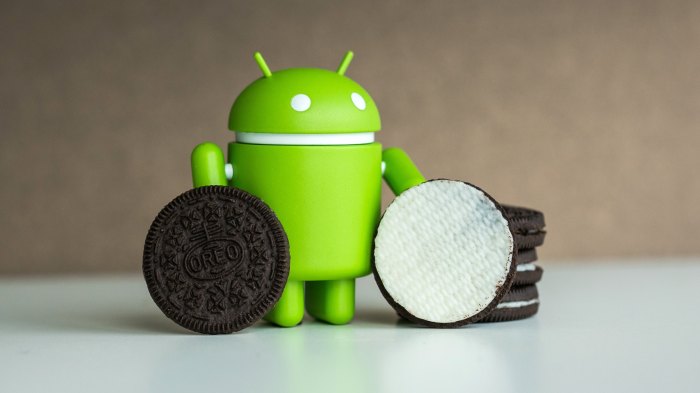 Android 8 0 oreo 0 5 percent installed