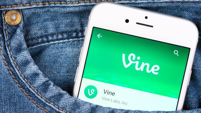 Vine co founder follow up app