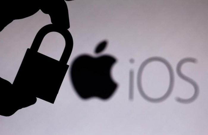 Apple vision pro zero day security bug exploited