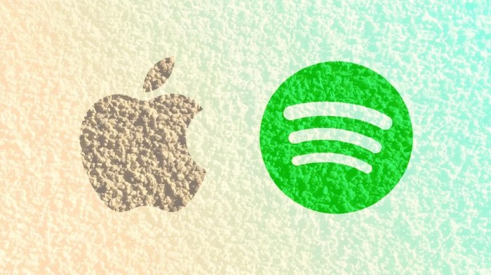 Spotify submits a new update to apple with pricing information for eu users