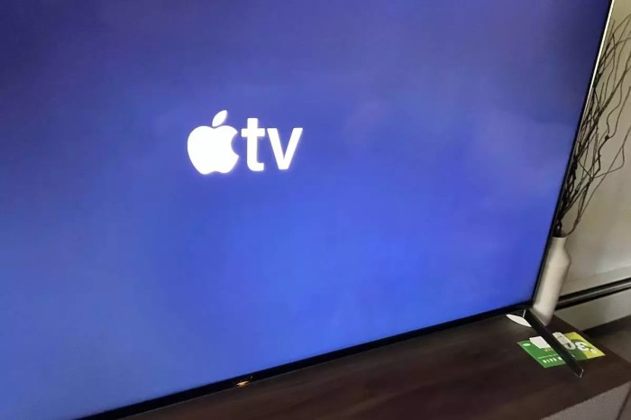 Roku ceo calls the apple tv a money loser for apple