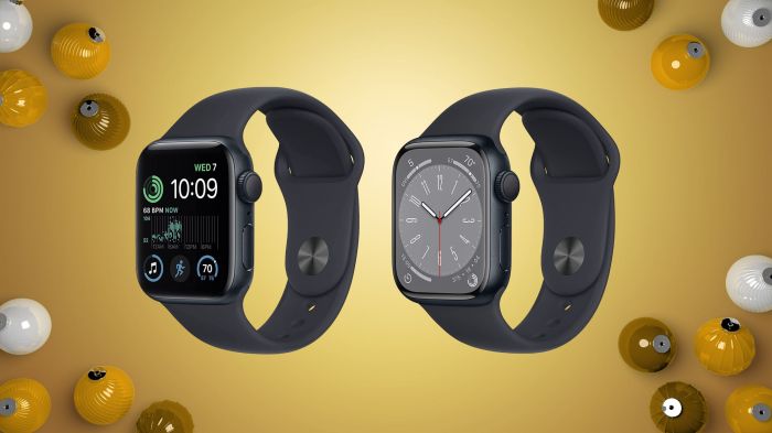 Apple watch orders to remain exclusively online through may