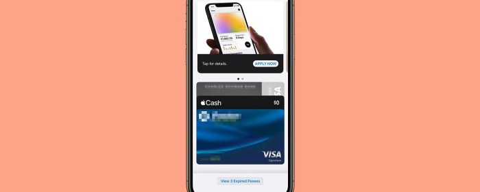 Apple pay reportedly running into issues at the checkout counter