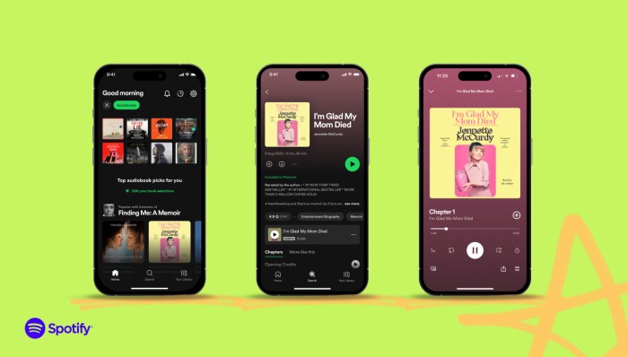 Spotify free audiobooks perk for premium canada ireland new zealand