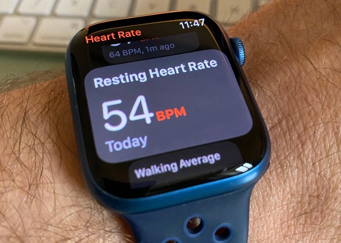 Apple watch heart rate bug