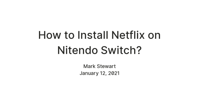 Netflix no plans nintendo switch