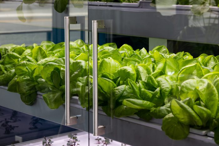 Babylon micro farms is bringing vertical farming to k 12 classes