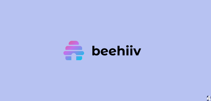 Beehiiv newsletters