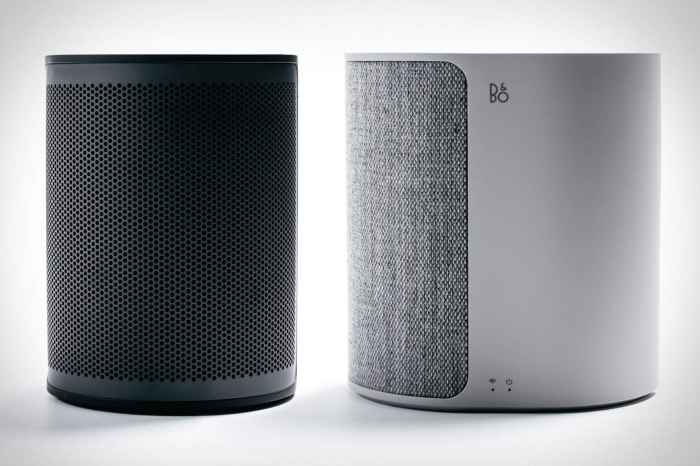 Bo beoplay p2 portable speaker