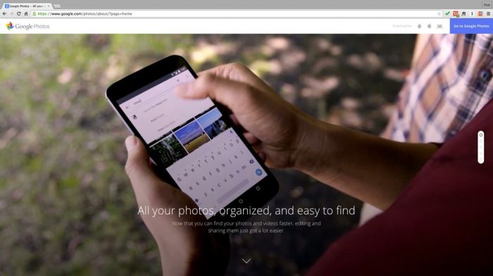 Google to launch new standalone photo service