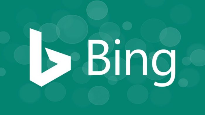 Bing saves beta kicks off quietly