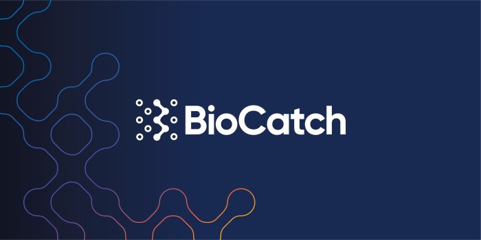 Permira to acquire digital fraud detection company biocatch in 1 3b deal