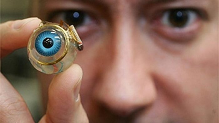 Bionic eye 2020 vision