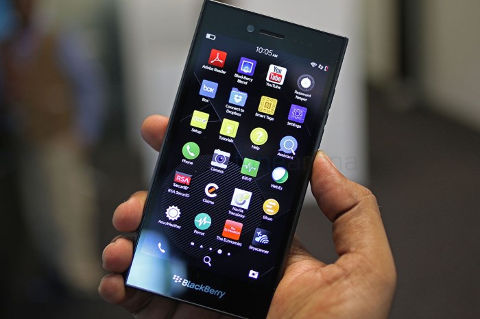 Blackberry leap now available for pre order