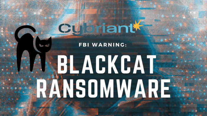 Alphv blackcat ransomware seizure