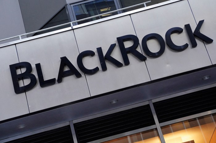 Blackrock cuts byjus valuation by 95 to 1 billion