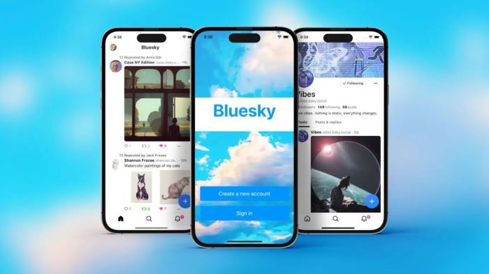 Bluesky scoops up the developer of popular third party app graysky