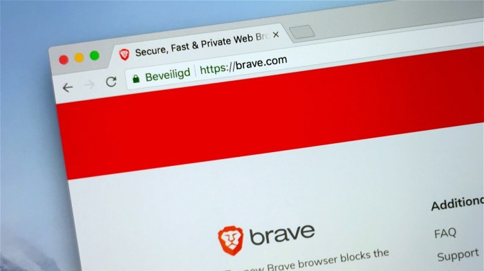 Brave search can now deliver results for programming queries