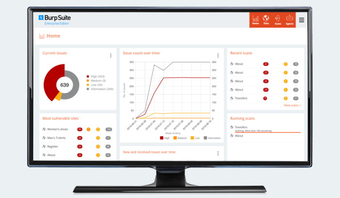 Portswigger the company behind the burp suite of security testing tools swallows 112m