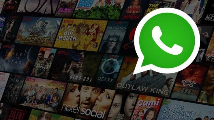 Netflix whatsapp communicate customers