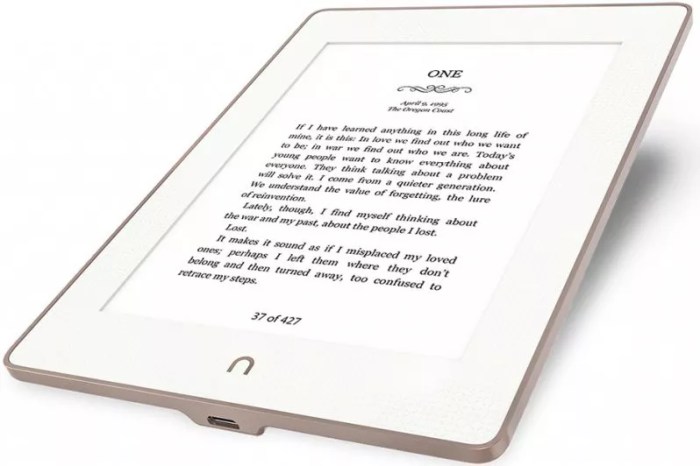 Barnes noble nook glowlight 3