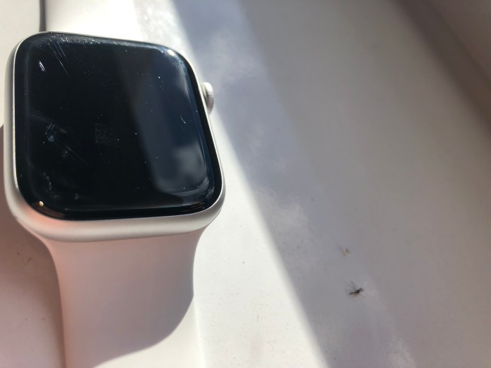 Apple watch sports ion x display undergoes scratch test