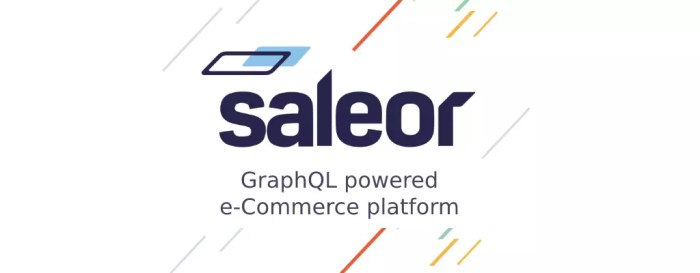 Open source headless commerce builder saleor pulls in 8m round led by target global and zalando