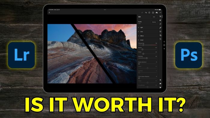 Adobe lightroom mobile for ipad