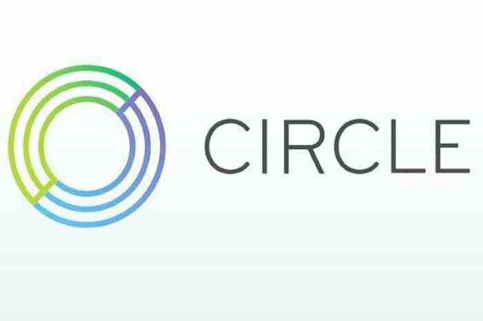 Usdc stablecoin issuer circle files confidentially for an ipo