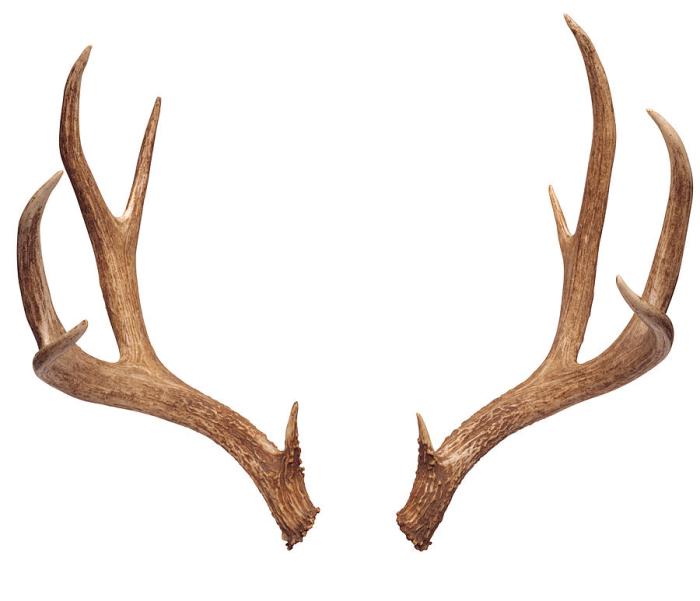 Antler ai