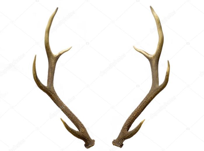 Antler ai