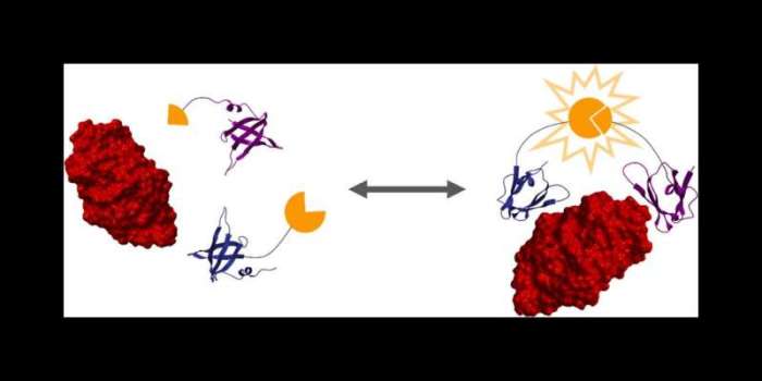 Cambrium aims to one up nature with designer proteins that scale sustainably