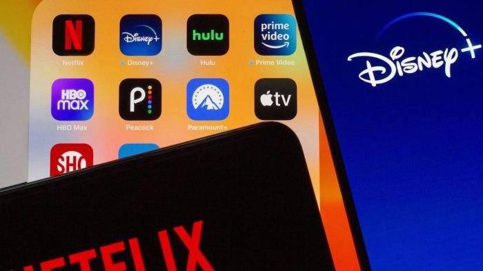 Disney streaming service cheaper netflix