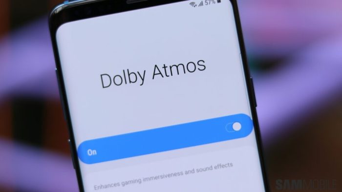 Galaxy s8 dolby atmos feature not included in oreo update