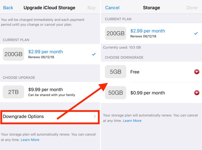 Apple 2tb icloud 20 a month