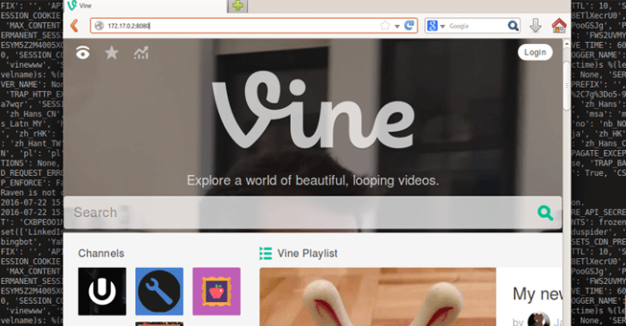 Vine source code goes public for five minutes