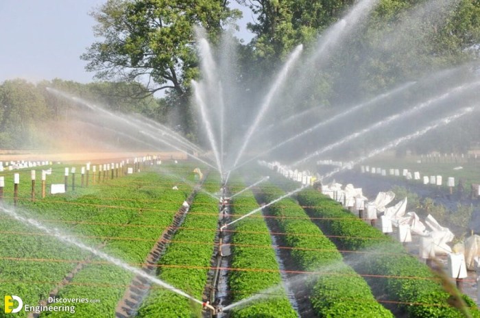 Droplet robot sprinkler delivers efficiency in watering plants