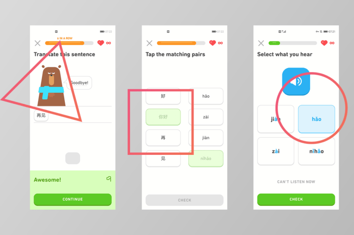 Duolingo adds mandarin course to app