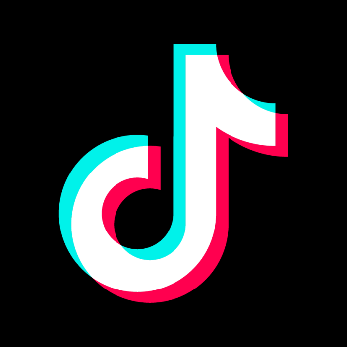 Eu asks tiktok and youtube for more info on how theyre safeguarding kids