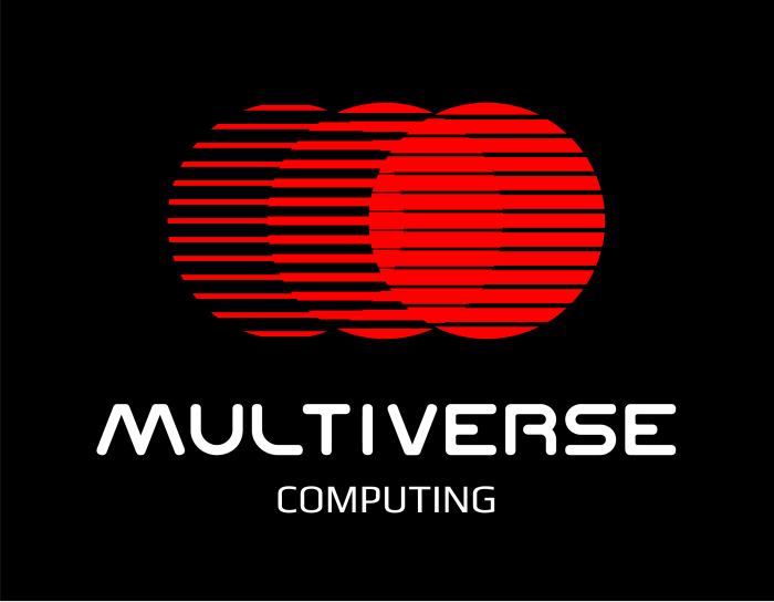 Multiverse computing