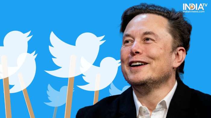 Musk says twitter subscribers will get early access to xais chatbot grok