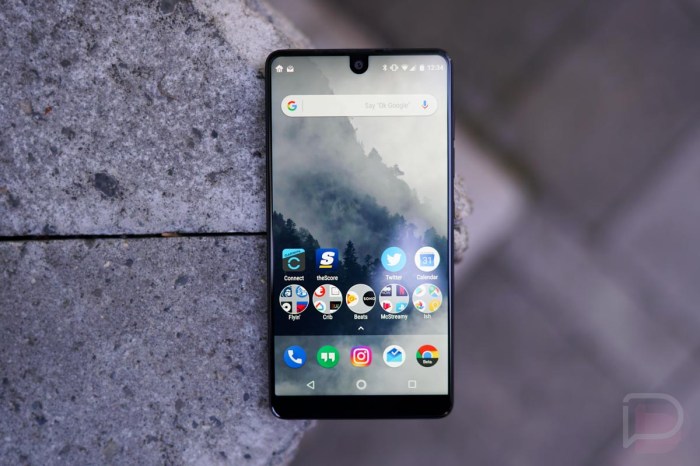 Essential phone price cut 450